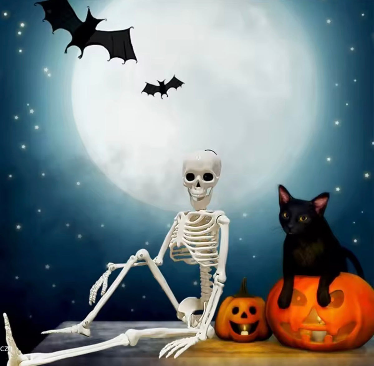 Posable Skeleton Decoration 16" – Halloween Mini Skeleton Prop for Table, Porch & Shelf