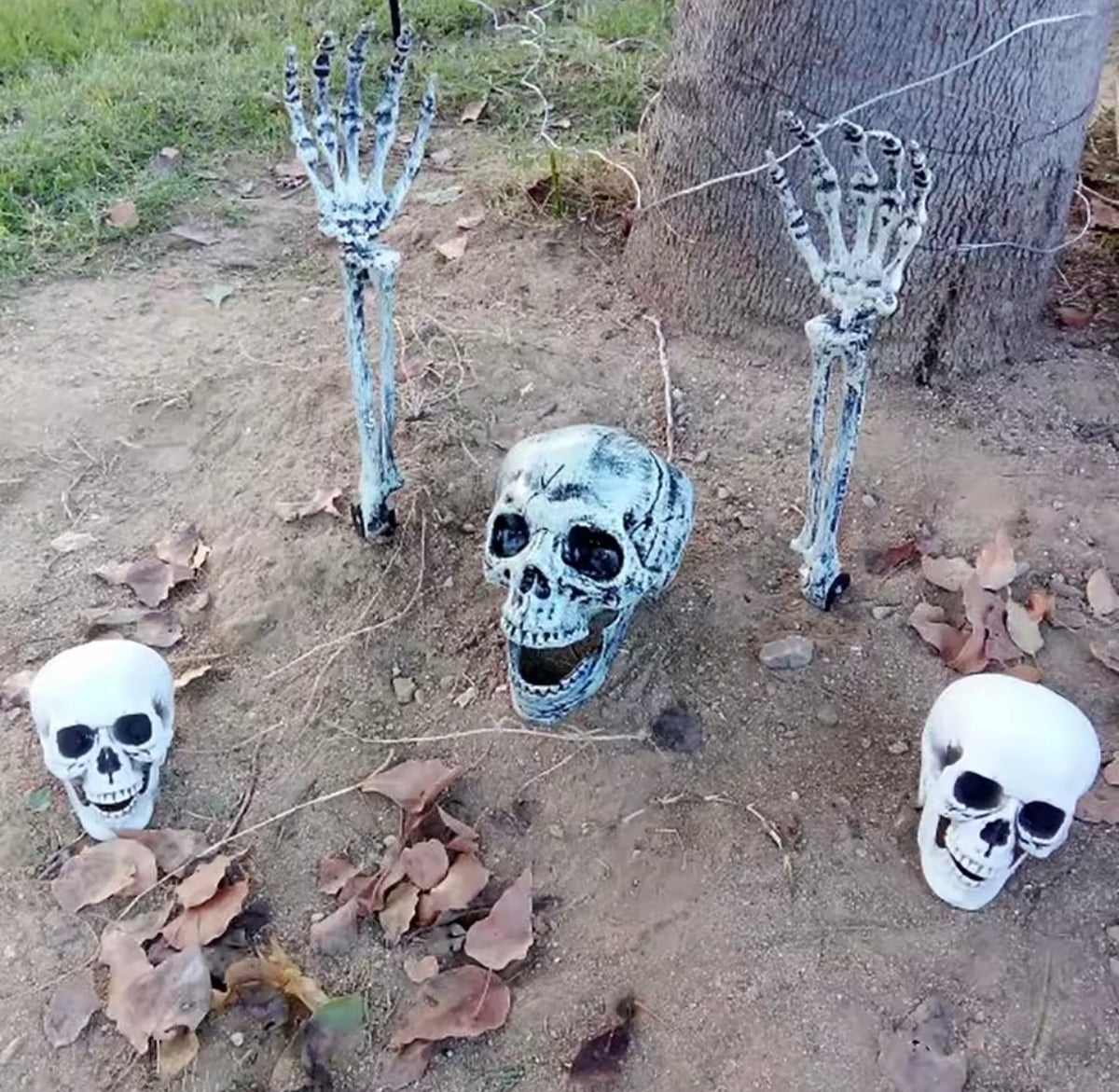 Realistic Skull Decoration – Halloween Skeleton Head Prop for Table, Porch & Yard