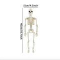 Posable Skeleton Decoration 16" – Halloween Mini Skeleton Prop for Table, Porch & Shelf