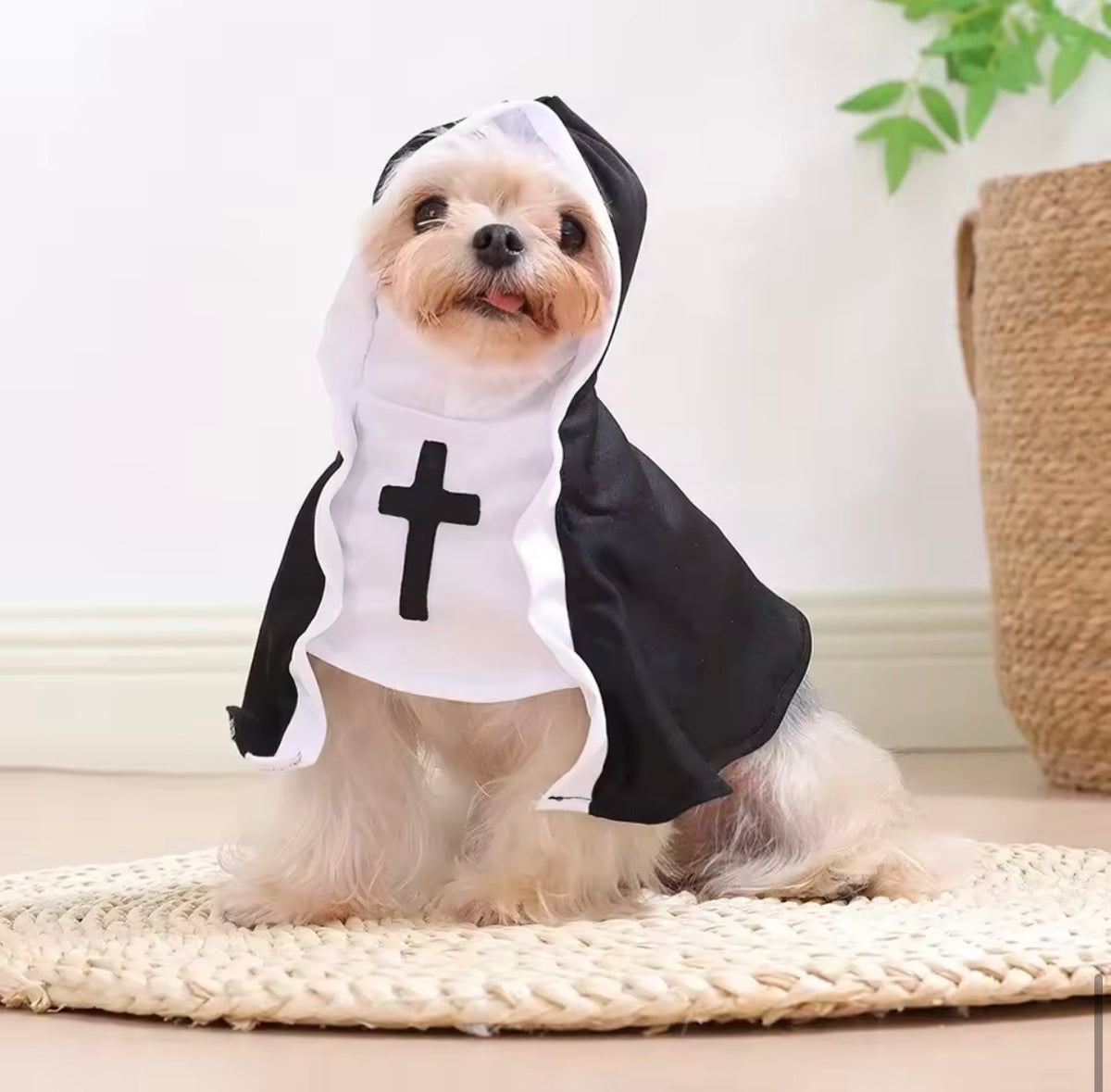 Pet Nun Costume – Funny Halloween Outfit for Cats & Small Dogs