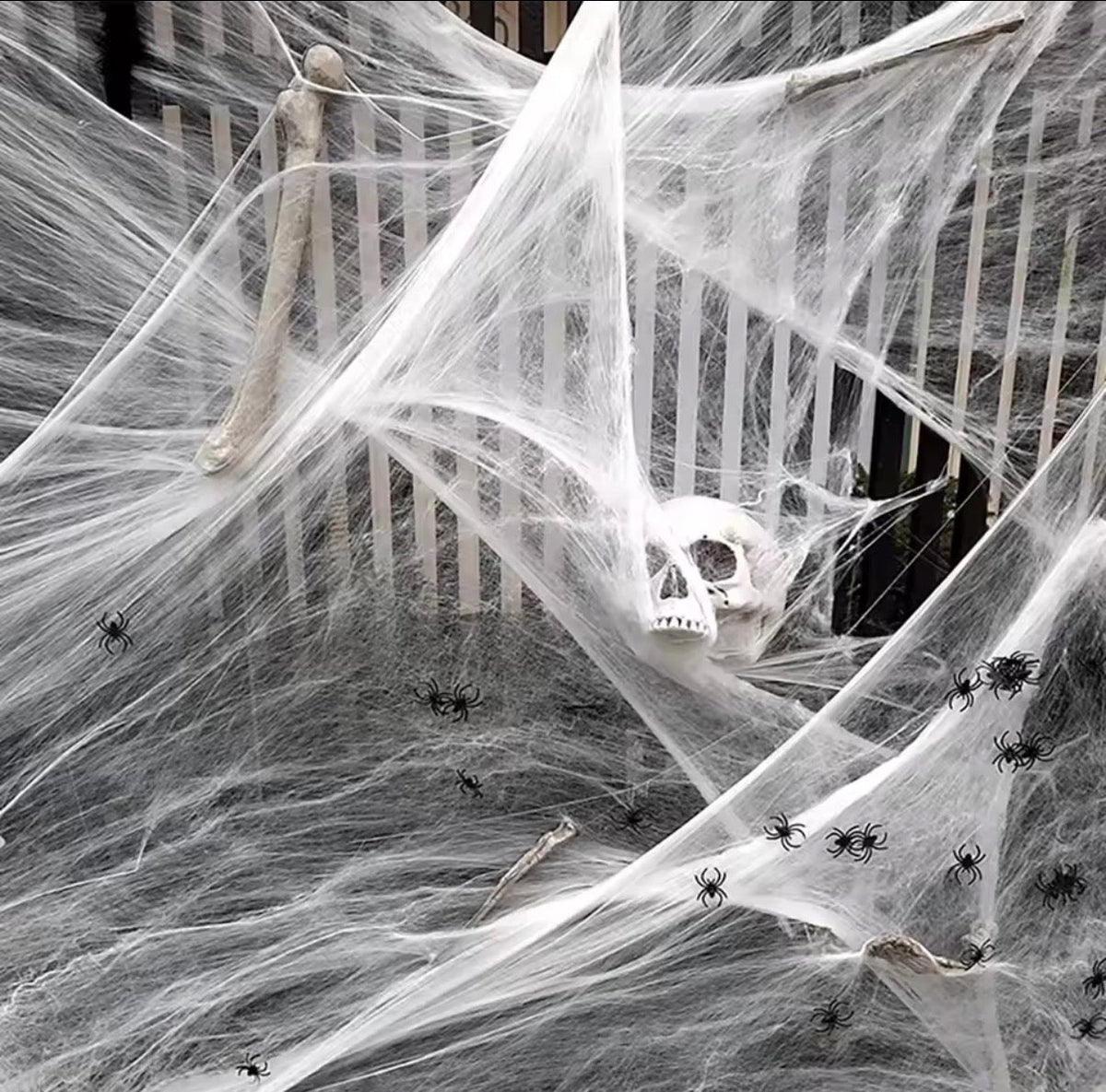 White stretchy spider web on a fence